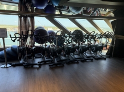 Carnival Dream Fitness Studio picture