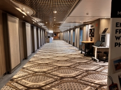 Noordam Photo Gallery picture
