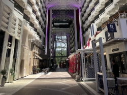 MSC World America World Promenade picture