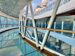 Regal Princess SeaWalk picture