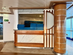 Regal Princess Fountain picture