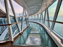 Regal Princess SeaWalk picture
