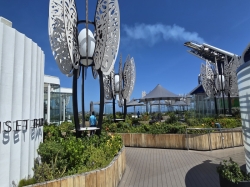 Celebrity Beyond Rooftop Garden picture