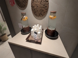 MSC World America MSC Aurea Spa picture
