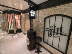MSC World America Gin Project picture