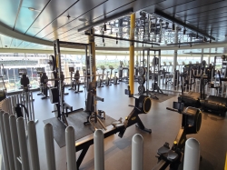 MSC World America MSC Gym picture