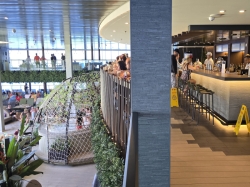 MSC World America Botanic Garden Bar picture
