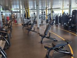 MSC World America MSC Gym picture