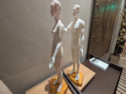 MSC World America MSC Aurea Spa picture