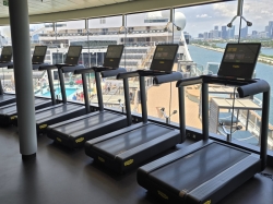 MSC World America MSC Gym picture