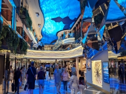 MSC World America World Galleria picture