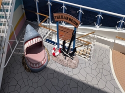 The Harbour picture