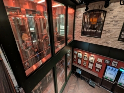 MSC World America Gin Project picture