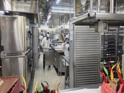 Sapphire Princess Galley picture
