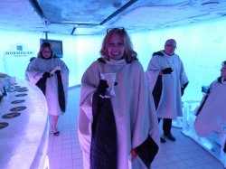 Norwegian Epic Ice Bar picture