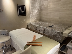 Koningsdam Greenhouse Spa & Salon picture