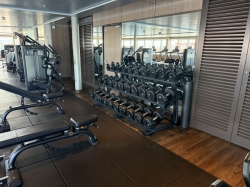 Koningsdam Fitness Center picture