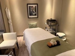 Koningsdam Greenhouse Spa & Salon picture