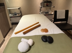 Koningsdam Greenhouse Spa & Salon picture