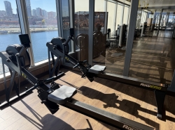 Koningsdam Fitness Center picture