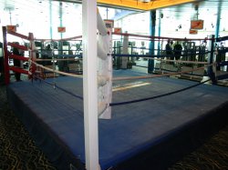 Independence of the Seas Fitness Center picture