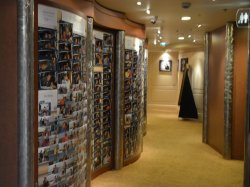 Celebrity Summit Photo Gallery picture