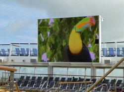 Anthem of the Seas Movie Screen picture