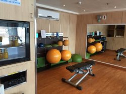 Silver Discoverer Fitness Centre picture