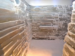 Norwegian Escape Snow Room picture