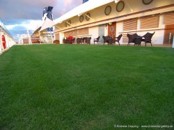 Celebrity Reflection The Lawn Club picture