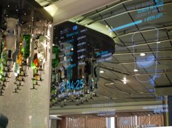 Anthem of the Seas Bionic Bar picture