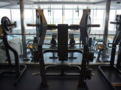 Anthem of the Seas Spa and Fitness Center picture