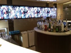 Celebrity Reflection Molecular Bar picture