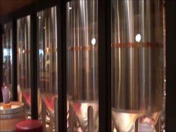 Carnival Vista RedFrog Pub & Brewery picture