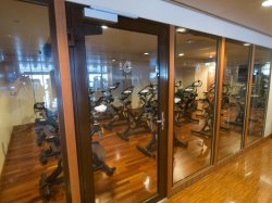 Norwegian Epic Pulse Fitness Center picture