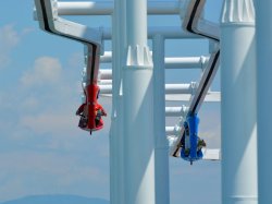 Carnival Vista Sky Ride picture