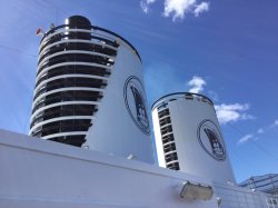 Noordam Observation walkway picture