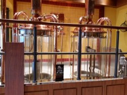 Carnival Vista RedFrog Pub & Brewery picture