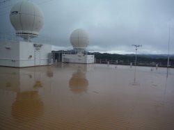 Nieuw Amsterdam Sun Deck picture