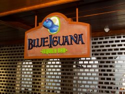 Blue Iguana Tequila Bar picture