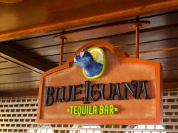 Carnival Imagination Blue Iguana Tequila Bar picture