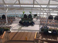 Harmony of the Seas Solarium picture