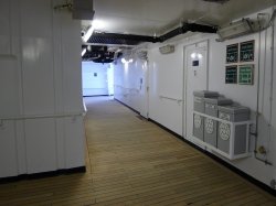 Zaandam Promenade Deck picture