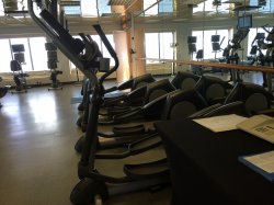Carnival Inspiration Gymnasium picture