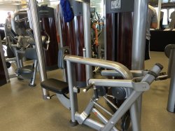 Carnival Inspiration Gymnasium picture