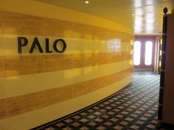 Disney Wonder Palo picture