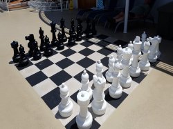 Chess picture