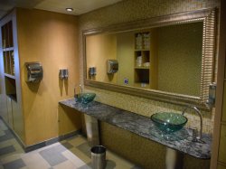 Carnival Inspiration Gymnasium picture