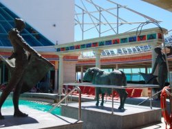 Explorer of the Seas Solarium picture