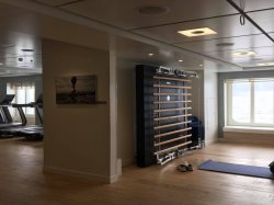 Viking Sky Fitness Center picture